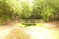 20220709-093928-[PAUxl]